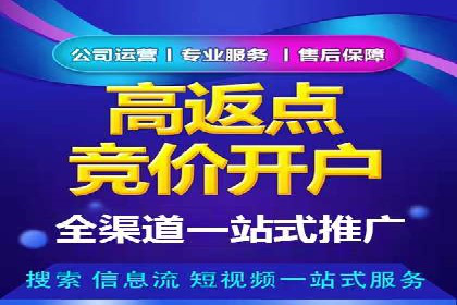 百度竞价账户托管的技巧与策略：从入门到精通的案例解析